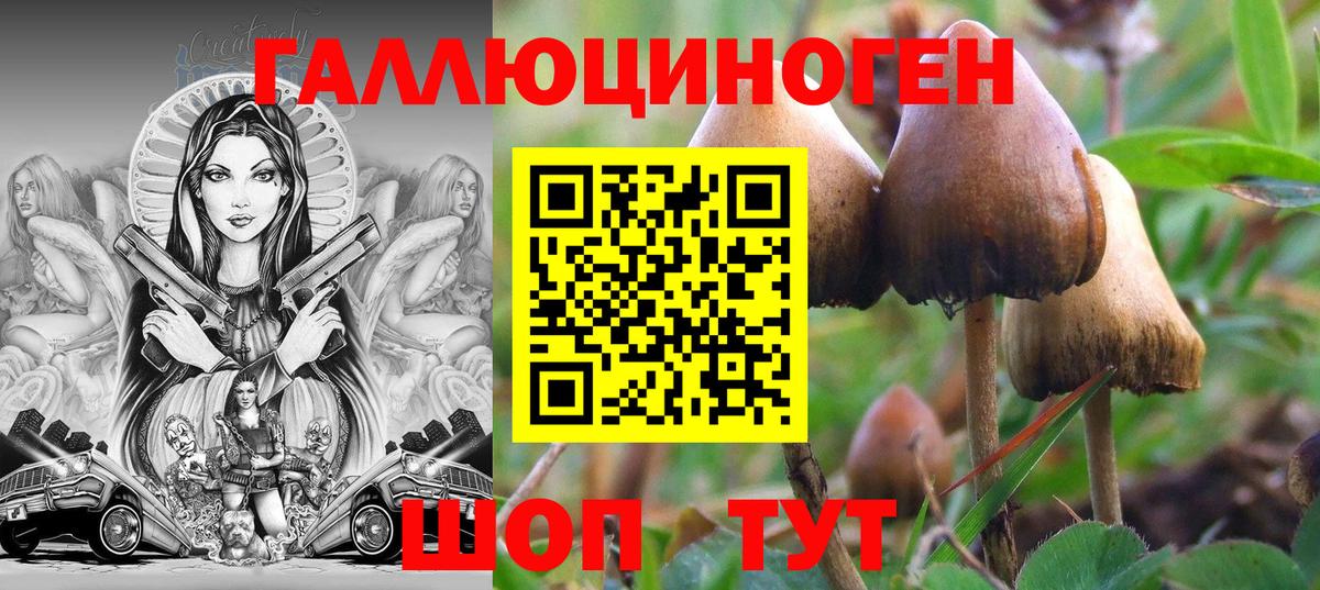 Псилоцибиновые грибы мухоморы Коркино