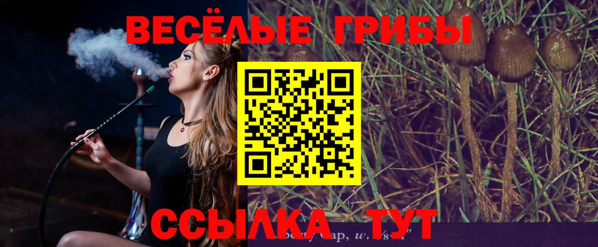 закладки  Вход с VPN  Коркино  Галлюциногенные грибы Cubensis 